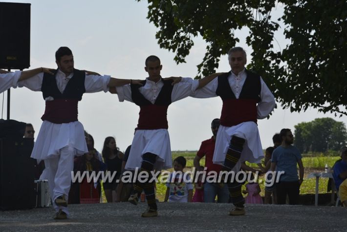 alexandriamou.gr_trikala28.5.2018112